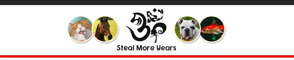 Steal More Years